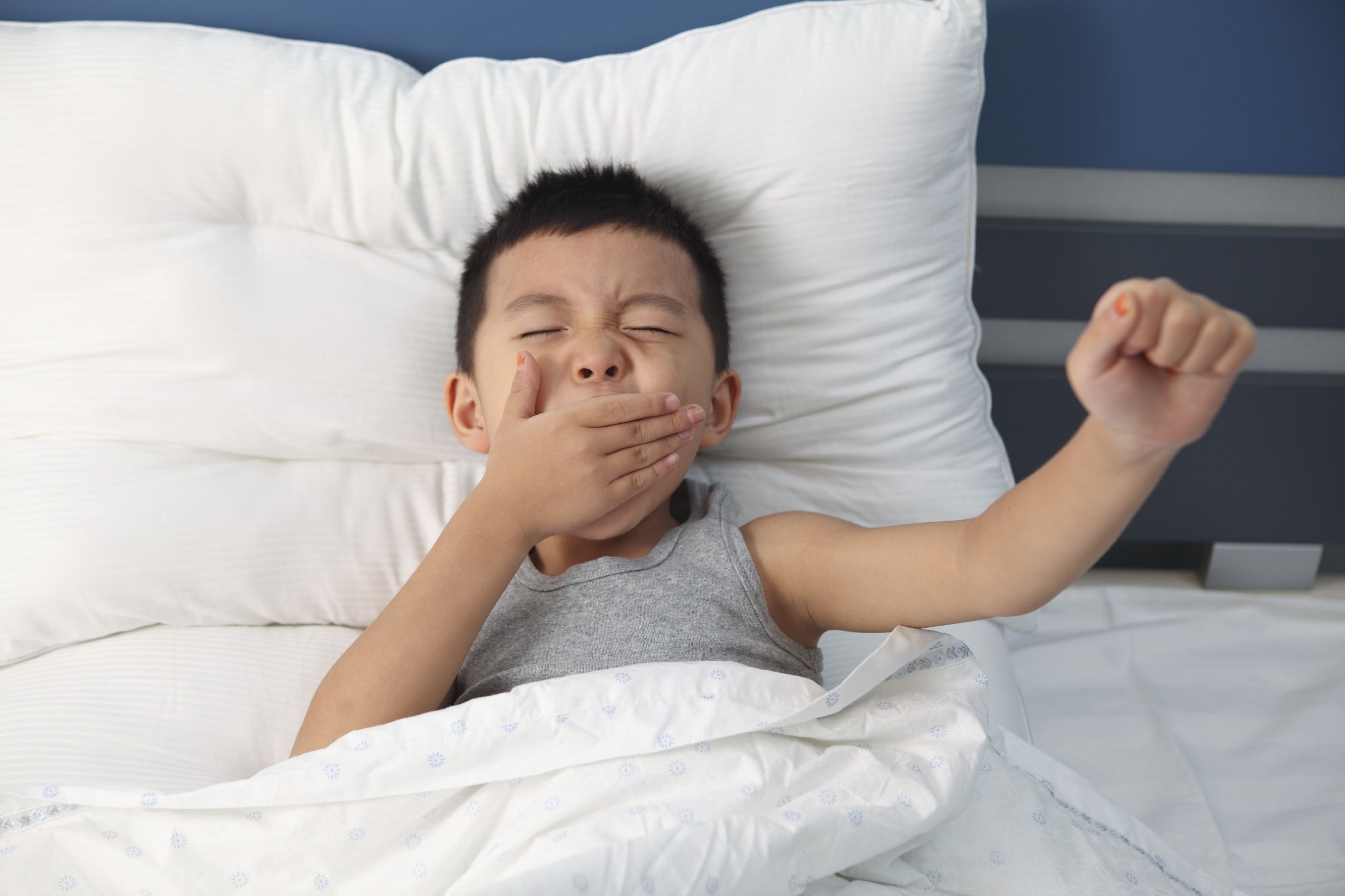 Chiêu hay gọi con dậy đúng giờ buổi sáng không cần hò hét