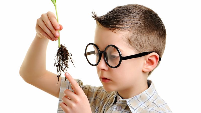 10 nguyên tắc nuôi dạy con trở thành thiên tài của người Do Thái